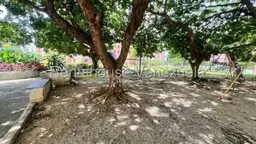View 51