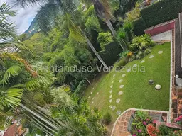 View 42