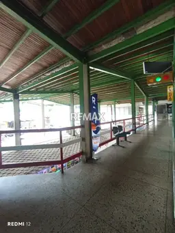 Vista 11