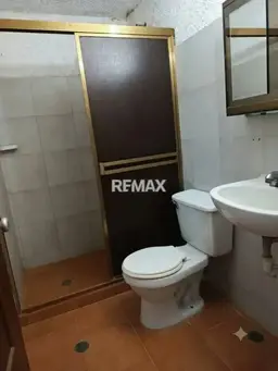 Vista 6