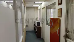 Vista 11