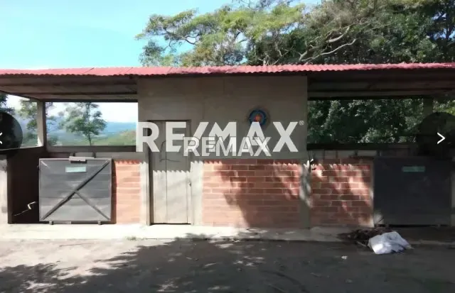 Venta Parcela Aguirre Con Invernaderos 27 ha todo incluido - 12