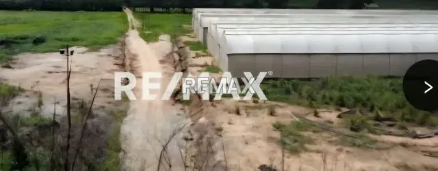 Venta Parcela Aguirre Con Invernaderos 27 ha todo incluido - 13