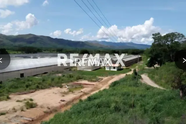 Venta Parcela Aguirre Con Invernaderos 27 ha todo incluido - 14