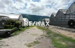 Vista 15