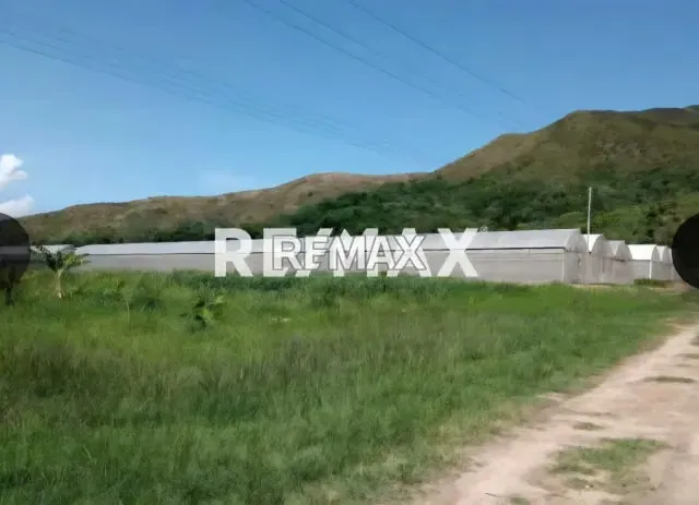 Venta Parcela Aguirre Con Invernaderos 27 ha todo incluido - 17