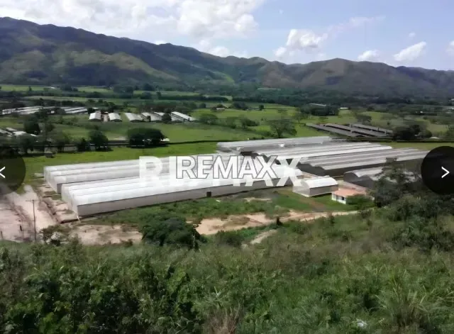 Venta Parcela Aguirre Con Invernaderos 27 ha todo incluido - 19