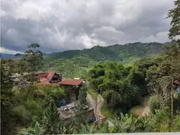 View 12
