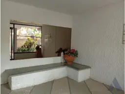 Vista 6