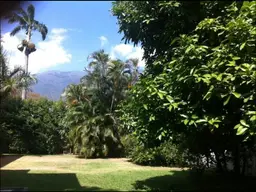 Vista 1