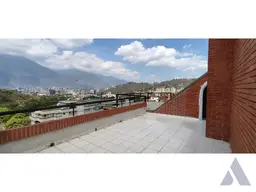 Vista 15