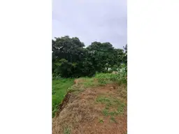 View 5