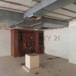 Vista 6
