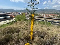 Vista 3