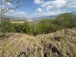 Vista 6
