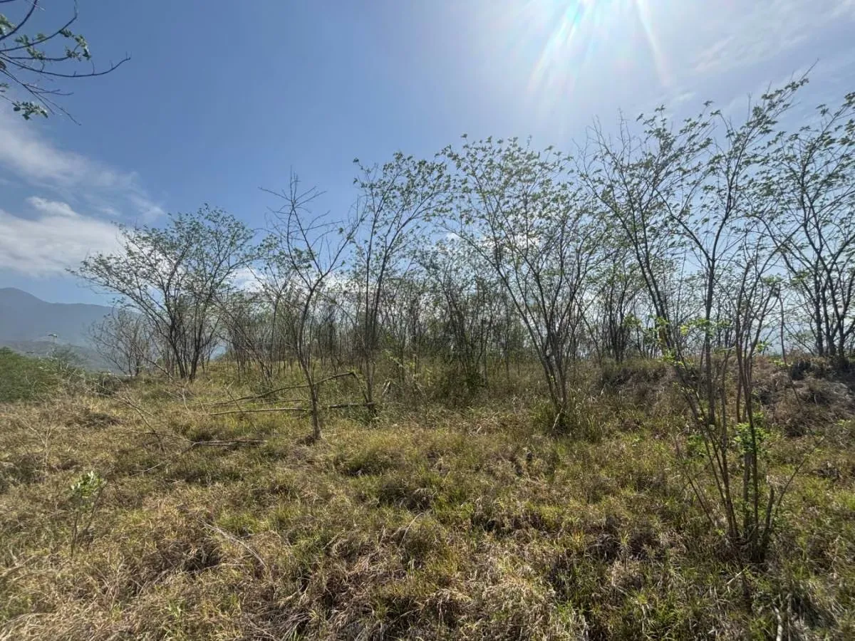 GUARENAS TERRENO VENTA RESIDENCIAL COMERCIAL INDUSTRIAL 29.586,026mts - 7
