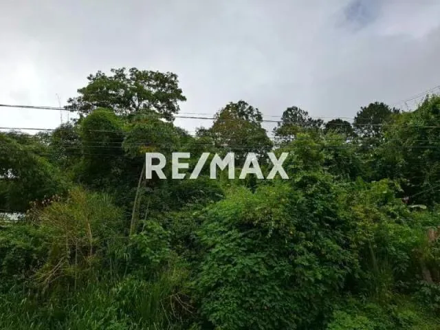 Terreno en Venta - Oripoto