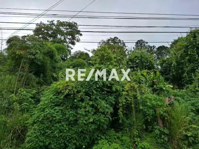 Terreno en Venta - Oripoto - 3