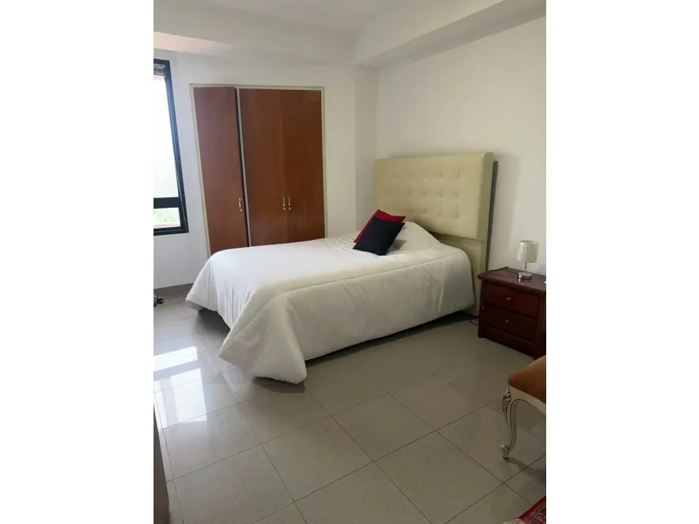 Alquilo Ph de tres niveles amoblado 390m2 La Castellana 7913 - 12
