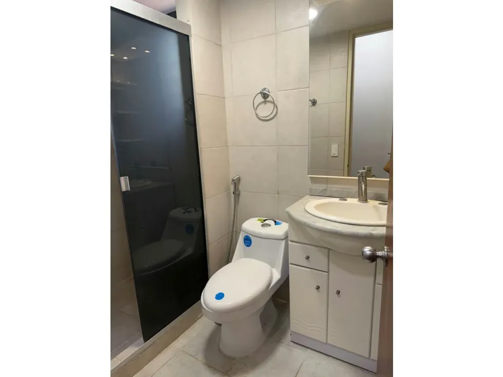 Alquilo Ph de tres niveles amoblado 390m2 La Castellana 7913 - 13