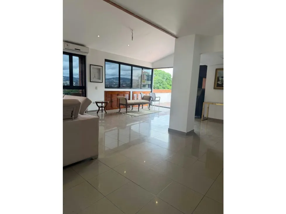 Alquilo Ph de tres niveles amoblado 390m2 La Castellana 7913 - 18