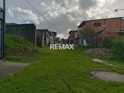 Vista 4