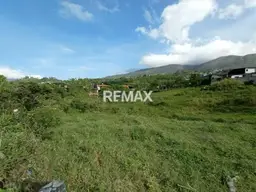 Vista 5