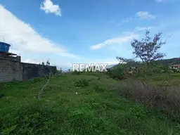 Vista 6