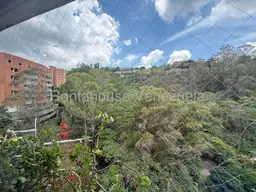 Vista 36