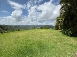 View 15