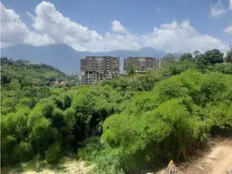 Vista 4