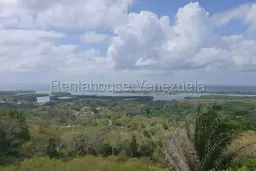 Vista 54
