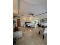 Vista 19