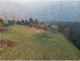 View 11