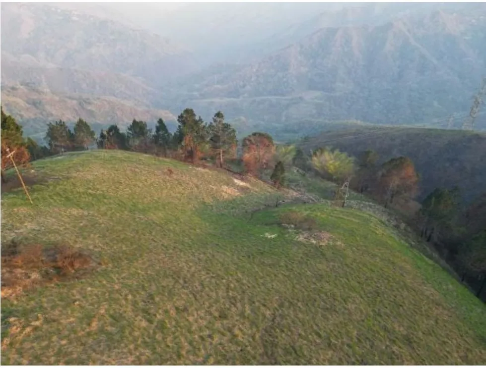 Vendo terreno 23000m2 Monte Elena 3509 - 3