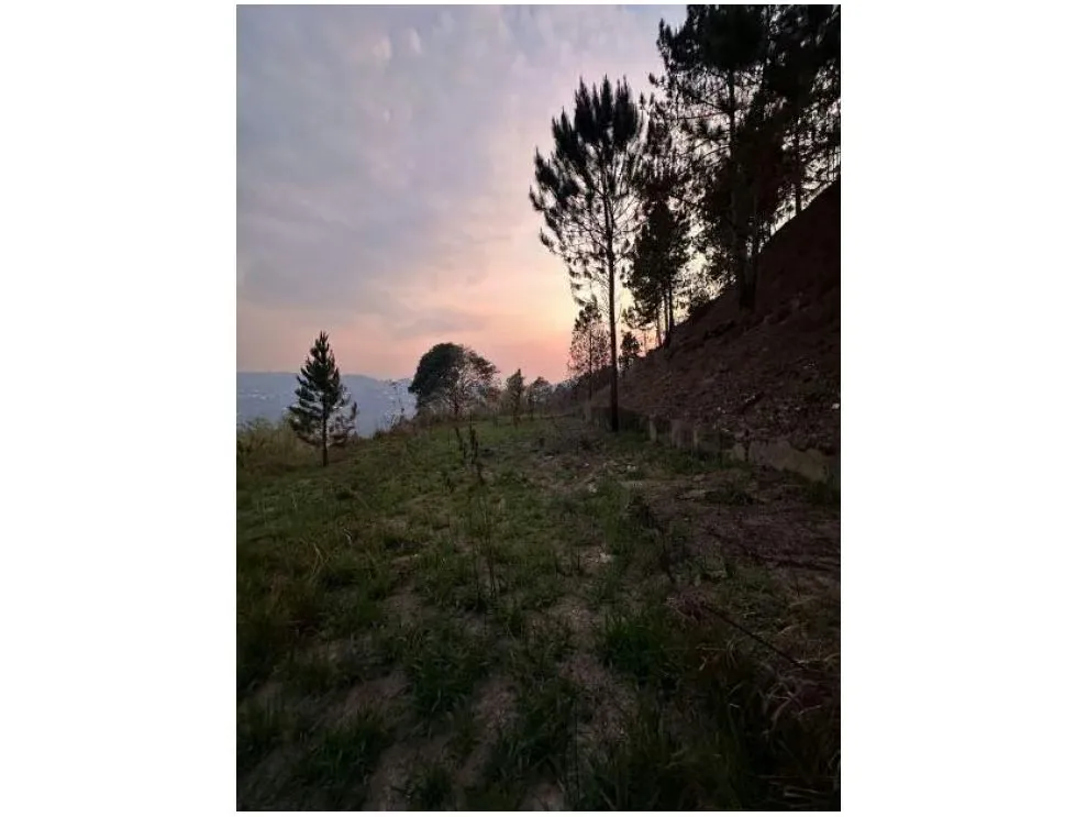 Vendo terreno 23000m2 Monte Elena 3509 - 4