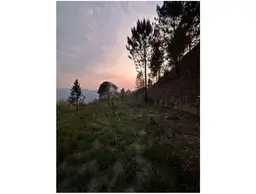 View 4