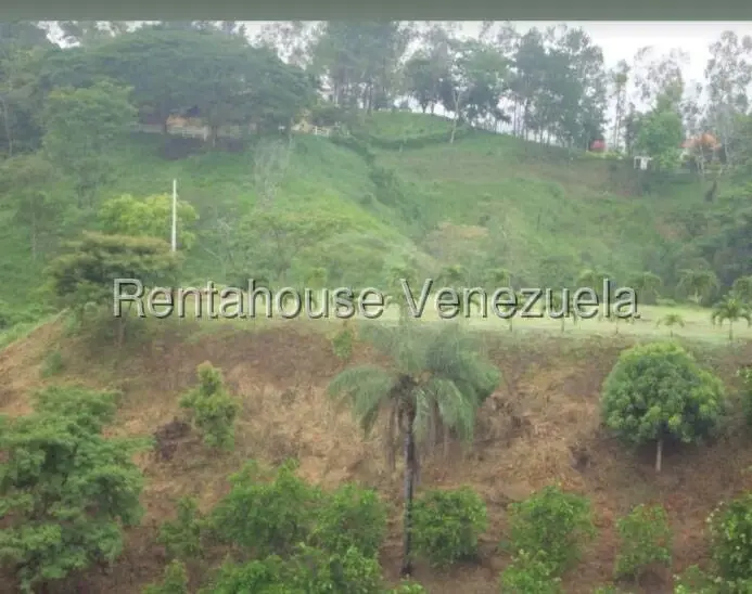 Terreno (Finca) en Venta en Hacienda el Naipe, Carabobo - 2