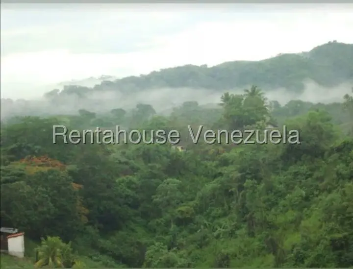 Terreno (Finca) en Venta en Hacienda el Naipe, Carabobo - 7