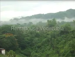 Vista 7