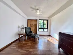 Vista 15