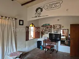 Vista 19