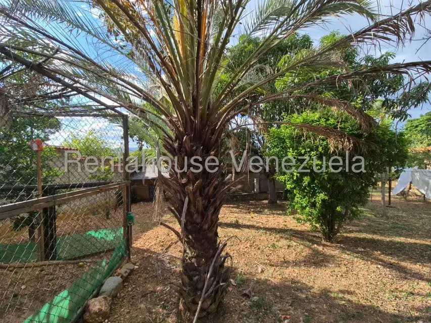 Casa (1 Nivel) en Venta en Agua Viva, Lara - 46