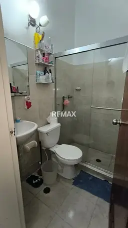 Vista 5