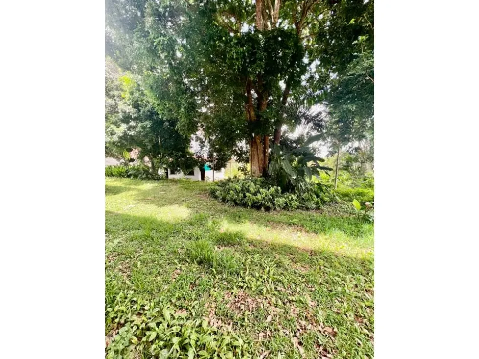 Vendo casa 1000m2 5h+2s/9b/9p La Lagunita 8340