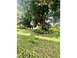 Vista 1