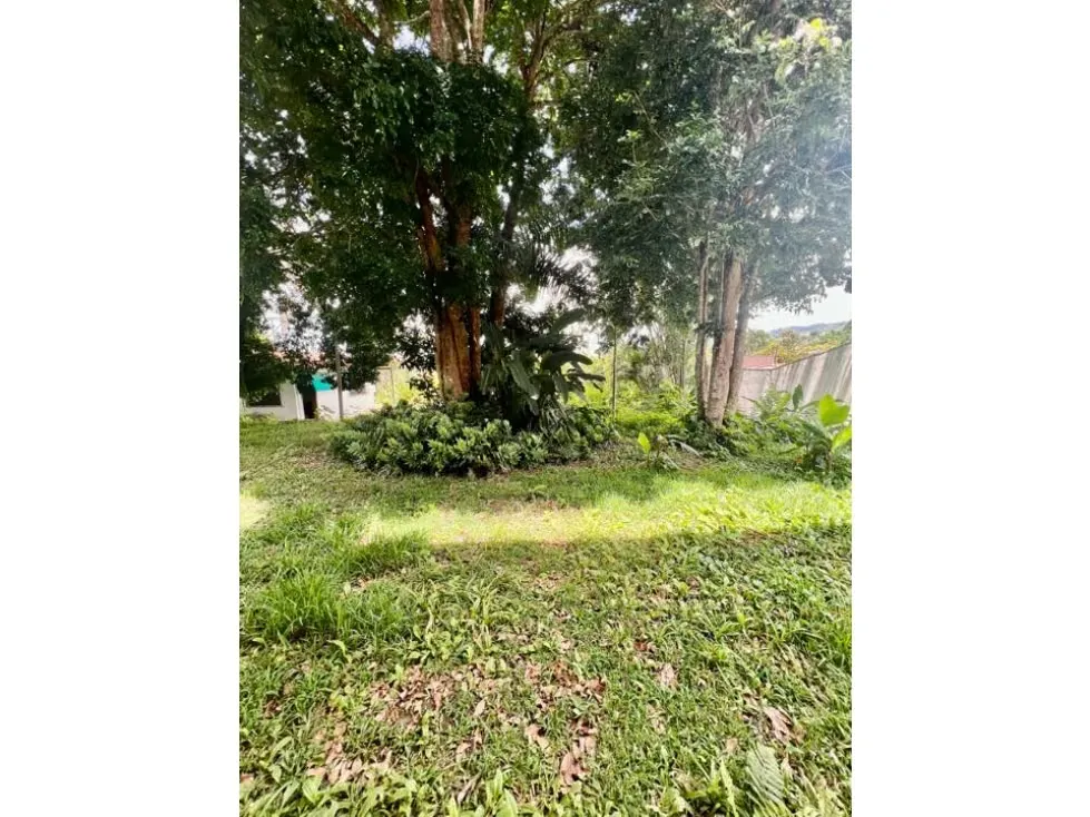 Vendo casa 1000m2 5h+2s/9b/9p La Lagunita 8340 - 16