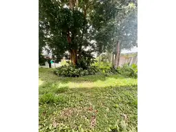 Vista 16