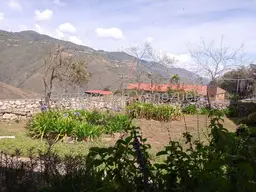 View 31