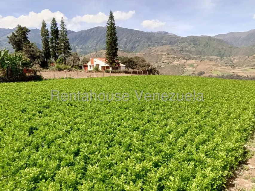 Casa (1 Nivel) en Venta en El Llano, Trujillo - 37